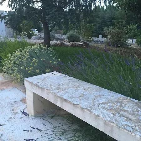 Trullo Della Balena Daire Martina Franca