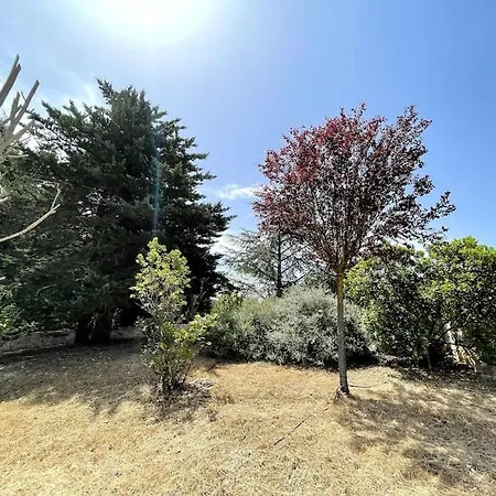 Trullo Della Balena Daire Martina Franca