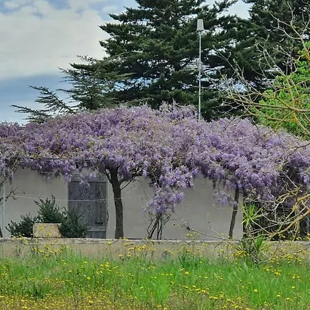 Trullo Della Balena Διαμέρισμα *