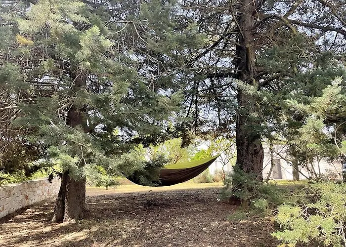 Trullo Della Balena * Martina Franca