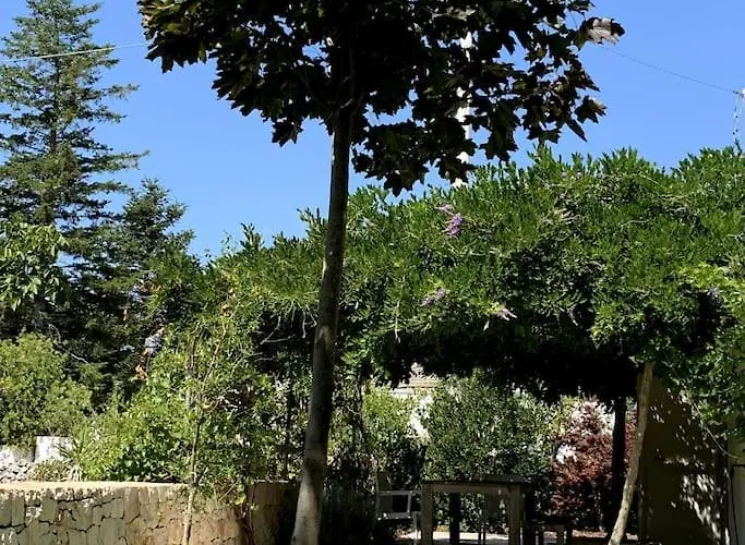 Trullo Della Balena * Martina Franca