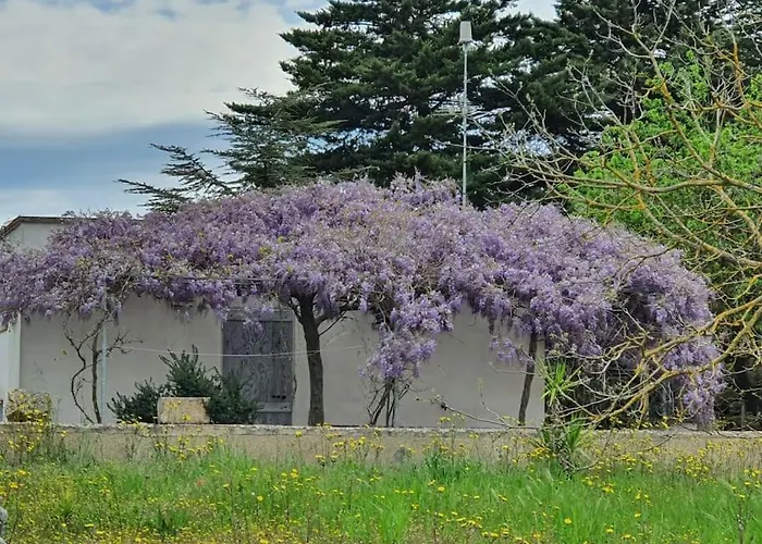 Trullo Della Balena Appartement *